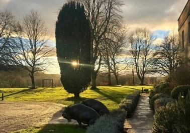 A Romantic Retreat: Experience Romance in the Somerset Countryside body thumb image